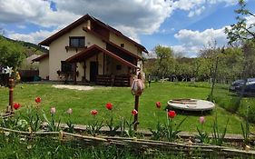 Cottage In Traditional Village Bradulet, Arges County