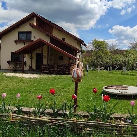 Cottage In Traditional Village Bradulet, Arges County Exterior foto