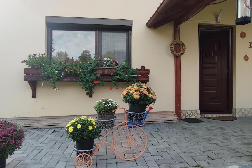 Cottage In Traditional Village Bradulet, Arges County Exterior foto