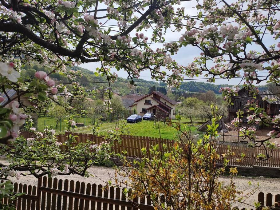Cottage In Traditional Village Bradulet, Arges County Exterior foto