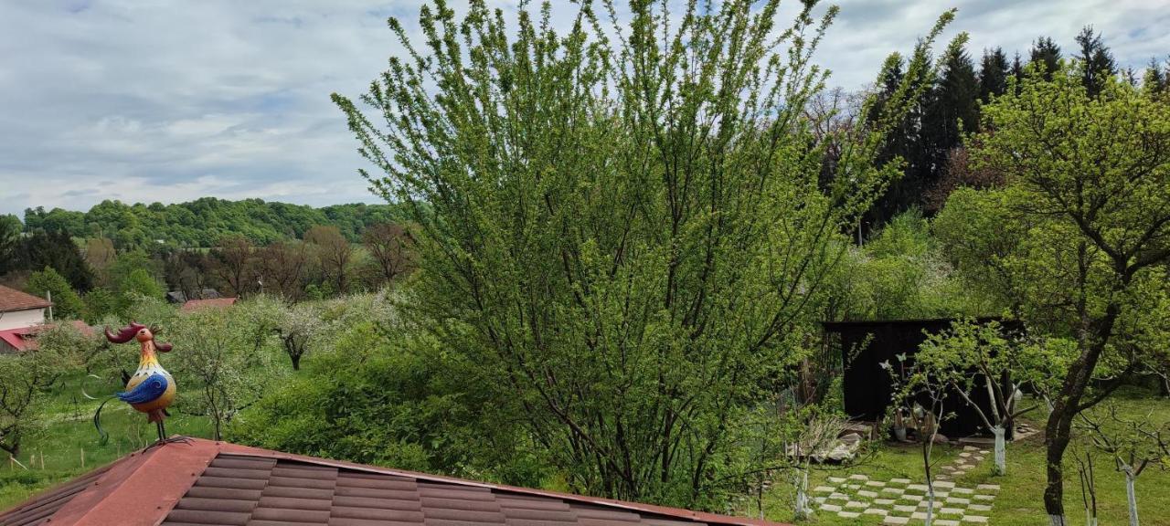 Cottage In Traditional Village Bradulet, Arges County Exterior foto