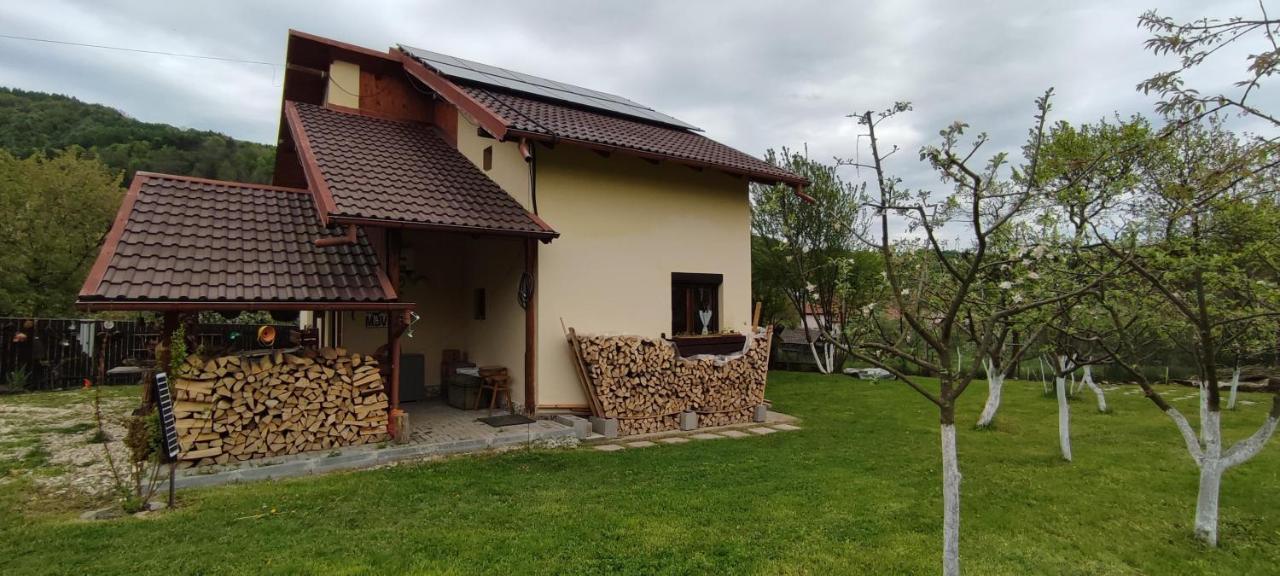 Cottage In Traditional Village Bradulet, Arges County Exterior foto