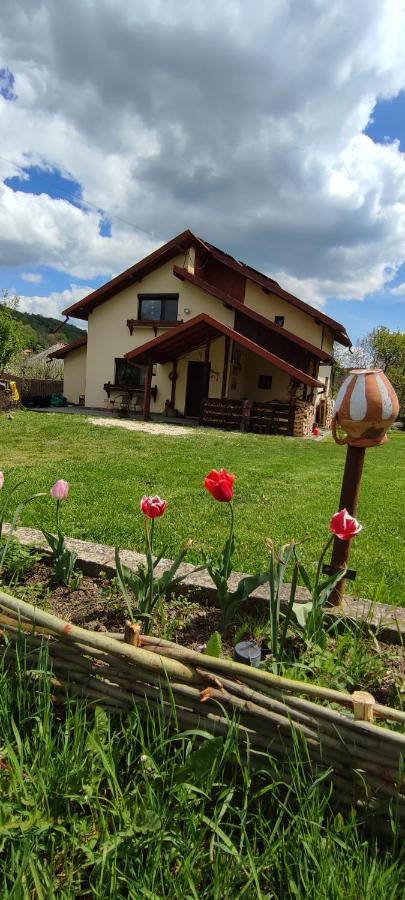 Cottage In Traditional Village Bradulet, Arges County Exterior foto